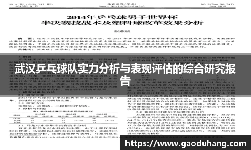 武汉乒乓球队实力分析与表现评估的综合研究报告